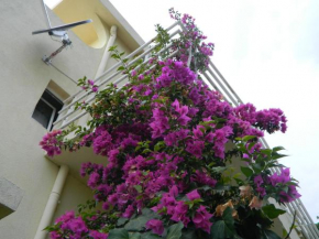 Отель Apartments Mivalex  Бар